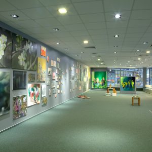 Galerie Weise – Ausstellung “Freischein”