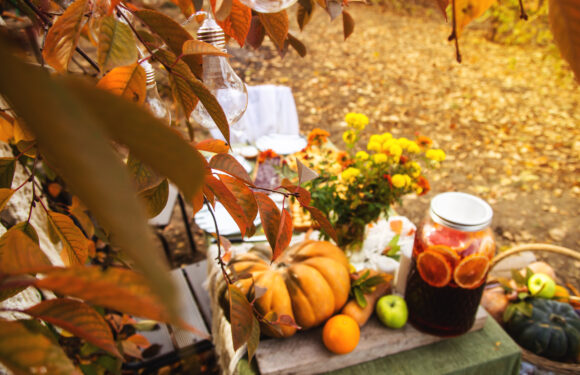 Herbst-Naturmarkt im Wasserschloss Klaffenbach