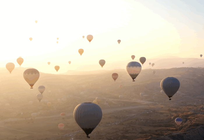 Ballonfest Chemnitz 2025 – Drei Tage Höhenflüge im Küchwald Ballonfest Chemnitz 2025 – Drei Tage Höhenflüge im Küchwald