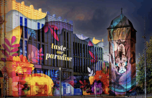 Light Our Vision 2025 startet in Chemnitz