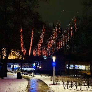 Neue Lichtinstallation wertet den Stadthallenpark auf Neue Lichtinstallation wertet den Stadthallenpark auf