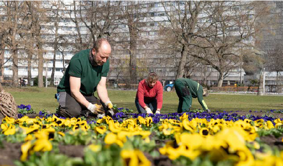 Ein Hauch Frühling für die Chemnitzer City