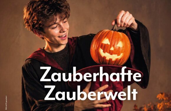 Zauberhafte Zauberwelt in der Galerie Roter Turm